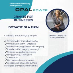 Katarzyna Szczęsna Dotacje dla Firm i Przedsiębiorstw - 