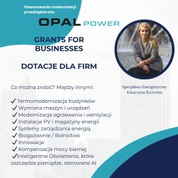Katarzyna Szczęsna Dotacje dla Firm i Przedsiębiorstw - Ubezpieczenia Na Życie Śrem