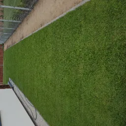 Ogród po położeniu trawy z rolki