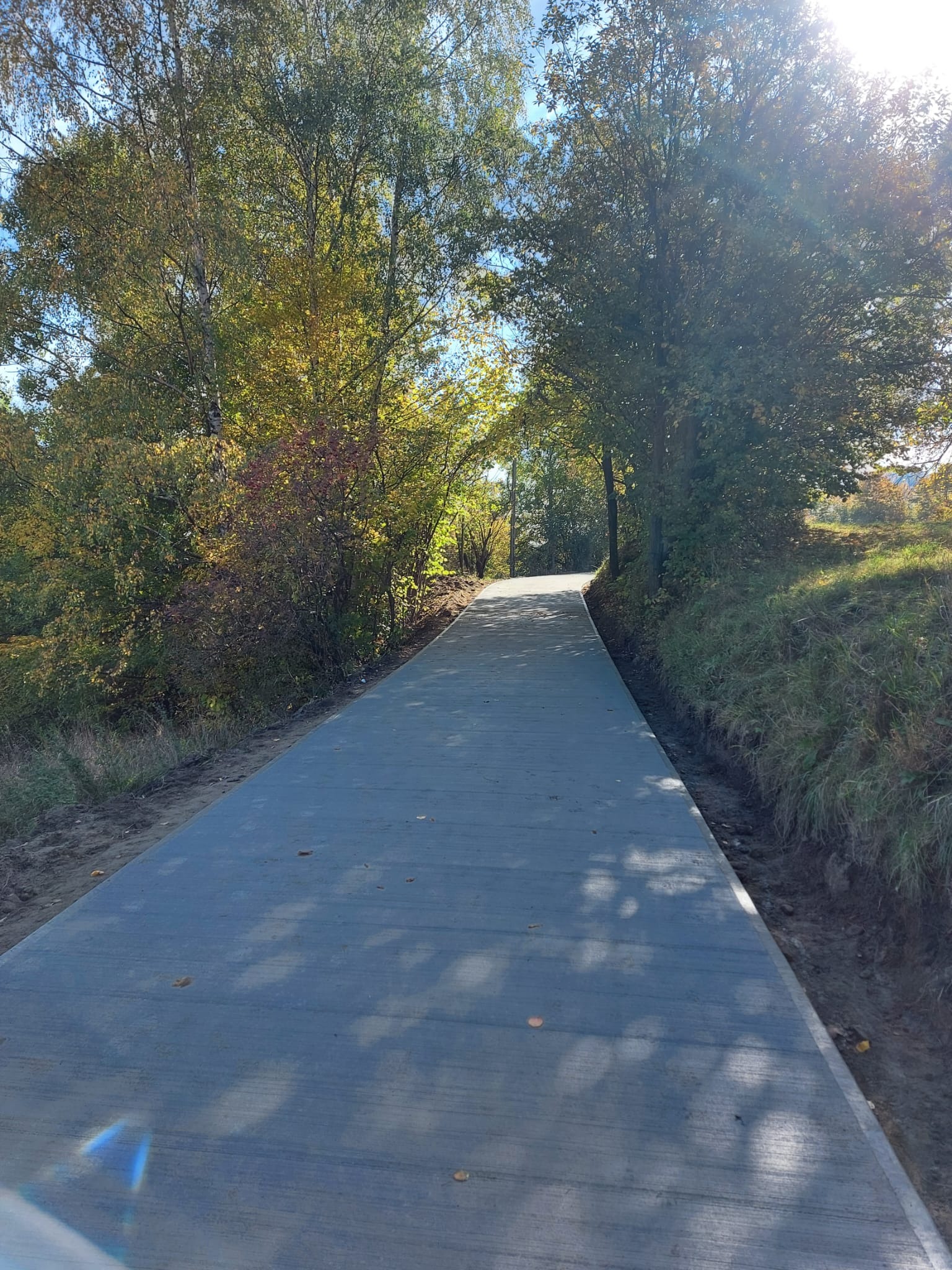 Nowa, gładka, betonowa droga wijąca się przez drzewa w słoneczny dzień. Widoczne świeżo wyrównane pobocza i jesienne liście na drzewach.