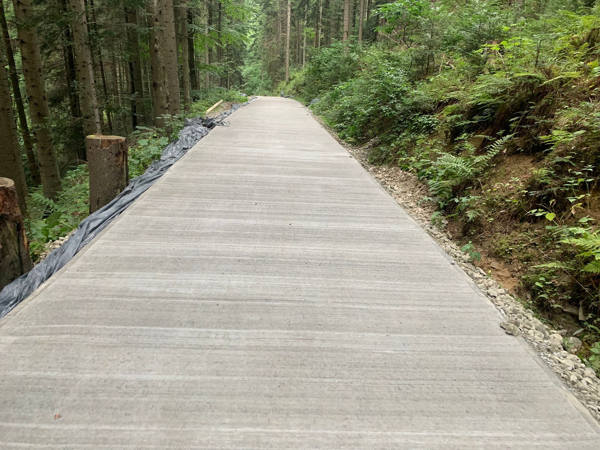 Świeżo wylana, betonowa ścieżka przez las, zabezpieczona folią po bokach, z widocznymi śladami po szalunku.