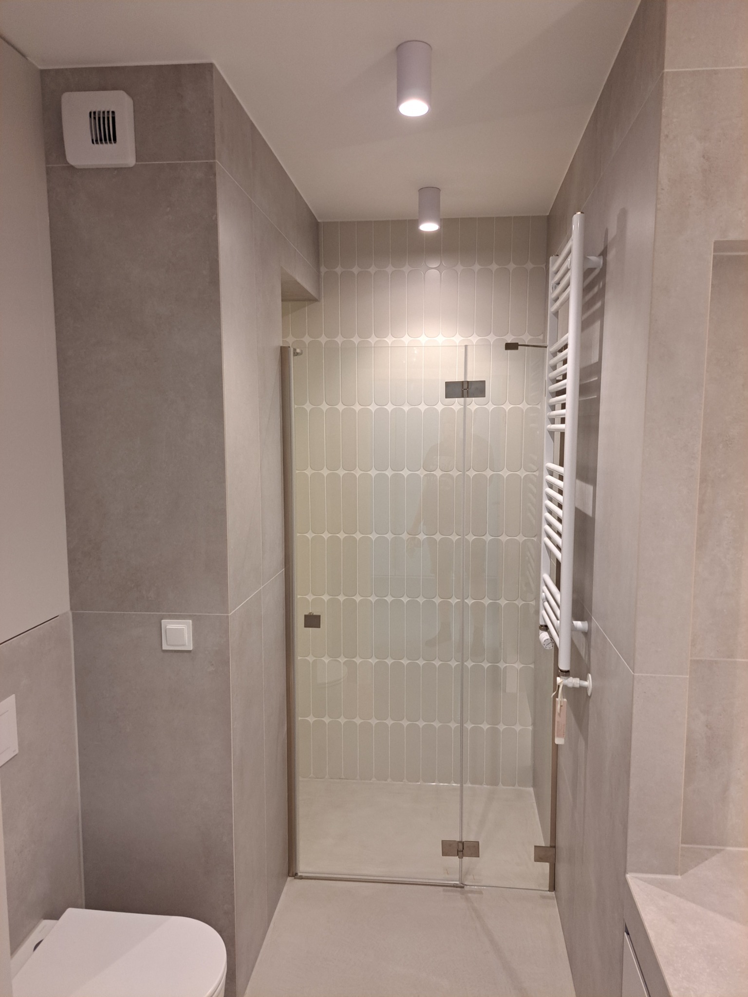 Nowoczesna łazienka w odcieniach szarości z kabiną prysznicową ze szklanymi drzwiami na zawiasach, grzejnikiem drabinkowym i płytkami w kształcie migdałów na ścianie wewnątrz kabiny.