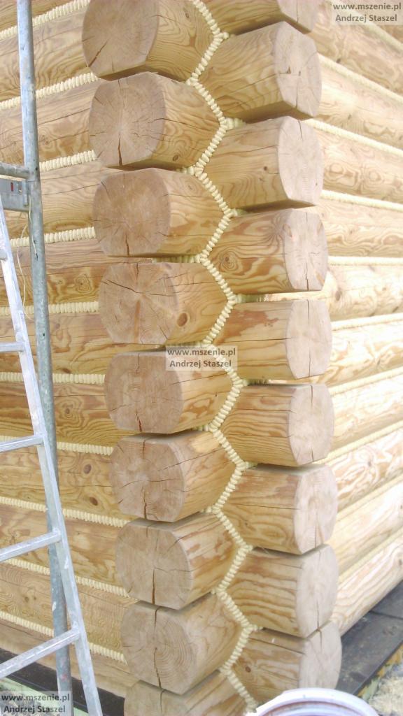 Fragment ściany domu z bali w Nowym Bystrym, z widocznymi okrąglakami i uszczelnieniem między nimi, drabina oparta o ścianę.