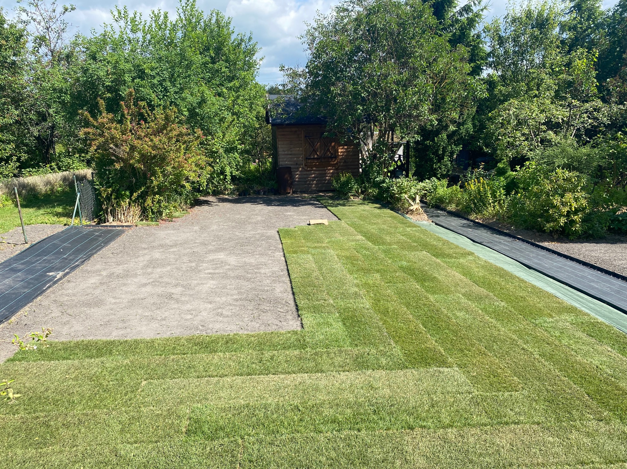 Układanie trawy z rolki w ogrodzie, widoczny fragment przygotowanego podłoża i ułożone pasy trawy, w tle zielona roślinność i drewniany budynek gospodarczy.