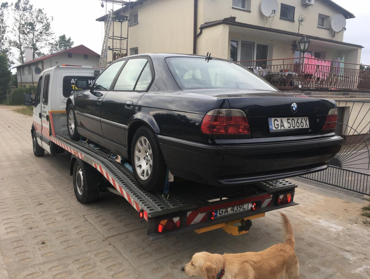Czarny samochód BMW serii 7 (E38) na platformie białej lawety z widocznym numerem rejestracyjnym, pies rasy Golden Retriever w dolnym rogu kadru.