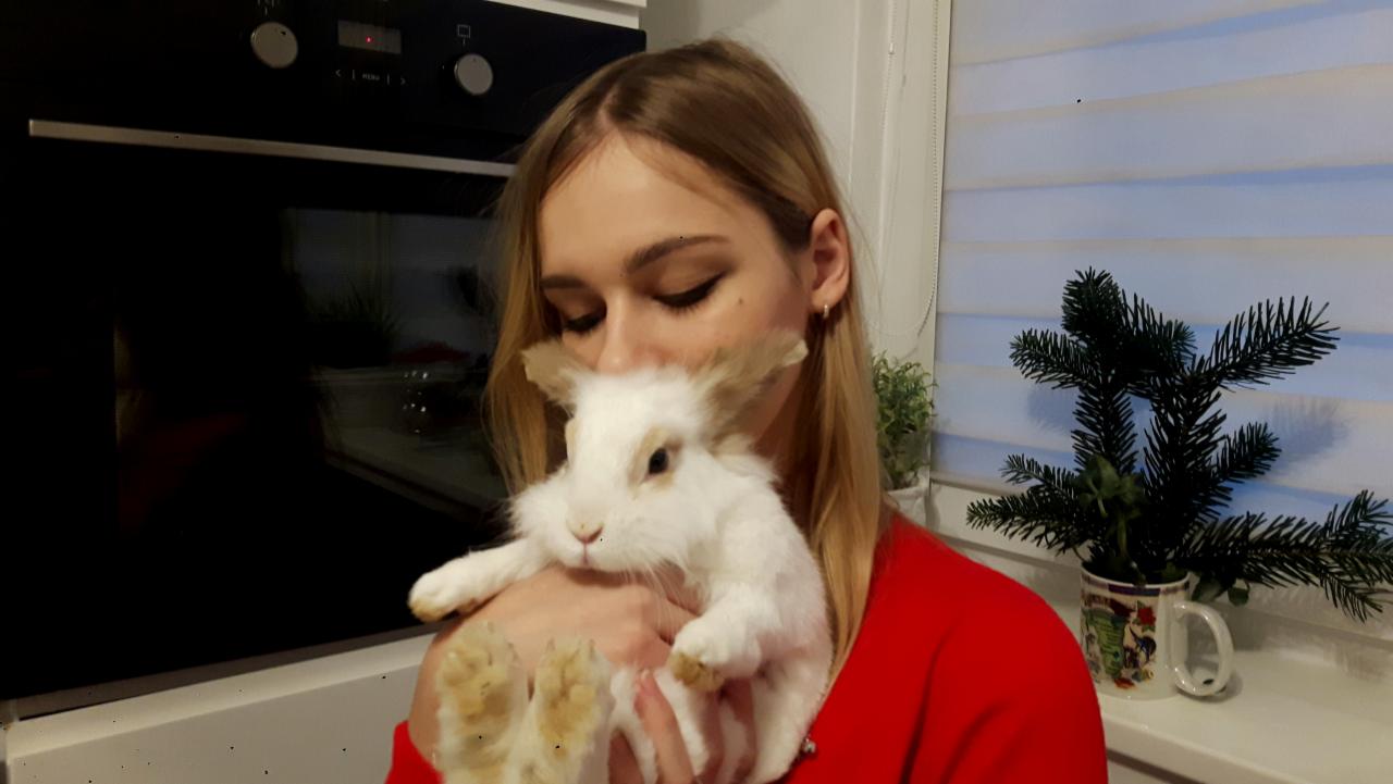 Blondwłosa kobieta w czerwonej bluzce tuli białego królika na tle kuchni, z oknem i roślinami w tle.