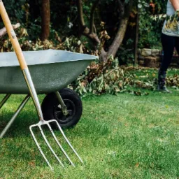 Taczka z gałęziami i widły na trawniku w Garwolinie, osoba w kaloszach zbiera gałęzie w tle.
