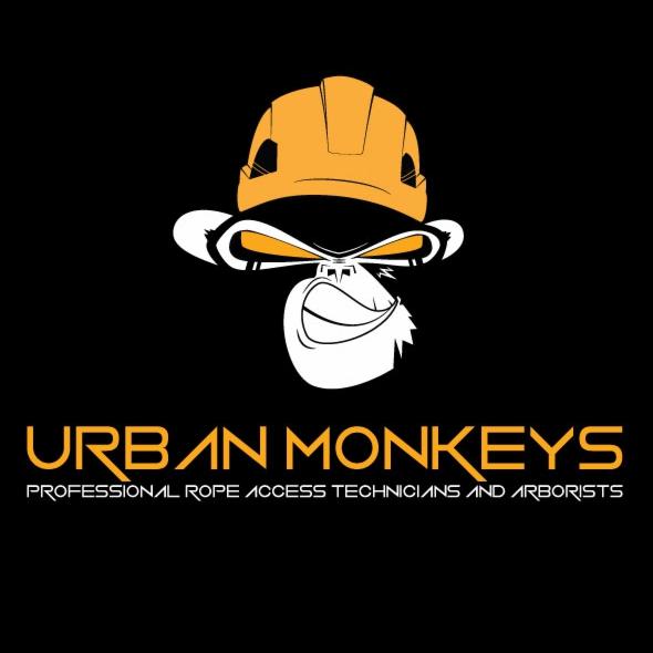 Grafika wektorowa przedstawiająca logo firmy 'Urban Monkeys': stylizowana głowa małpy w żółtym kasku budowlanym, poniżej napis 'URBAN MONKEYS' i pod nim mniejszy tekst 'PROFESSIONAL ROPE ACCESS...