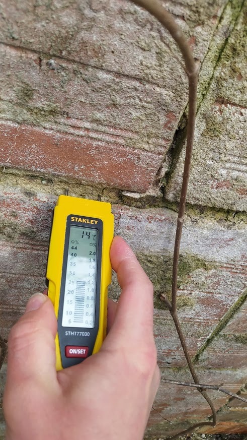 Pomiar wilgotności ściany z cegły za pomocą wilgotnościomierza Stanley STHT77030, wskazującego 14% wilgotności, z fragmentem pnącej rośliny w tle.