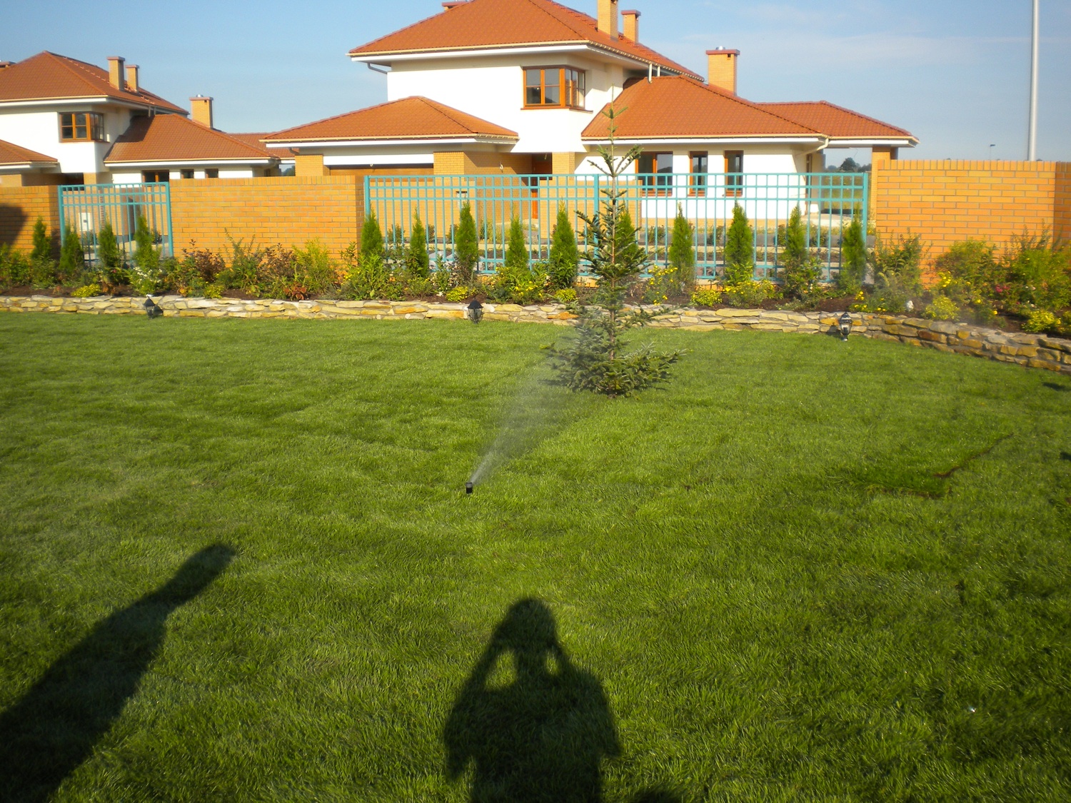 Nawadniany trawnik przed domem z niskimi tujami i ogrodzeniem, widoczne zraszacze w akcji, cień osoby fotografującej na pierwszym planie.