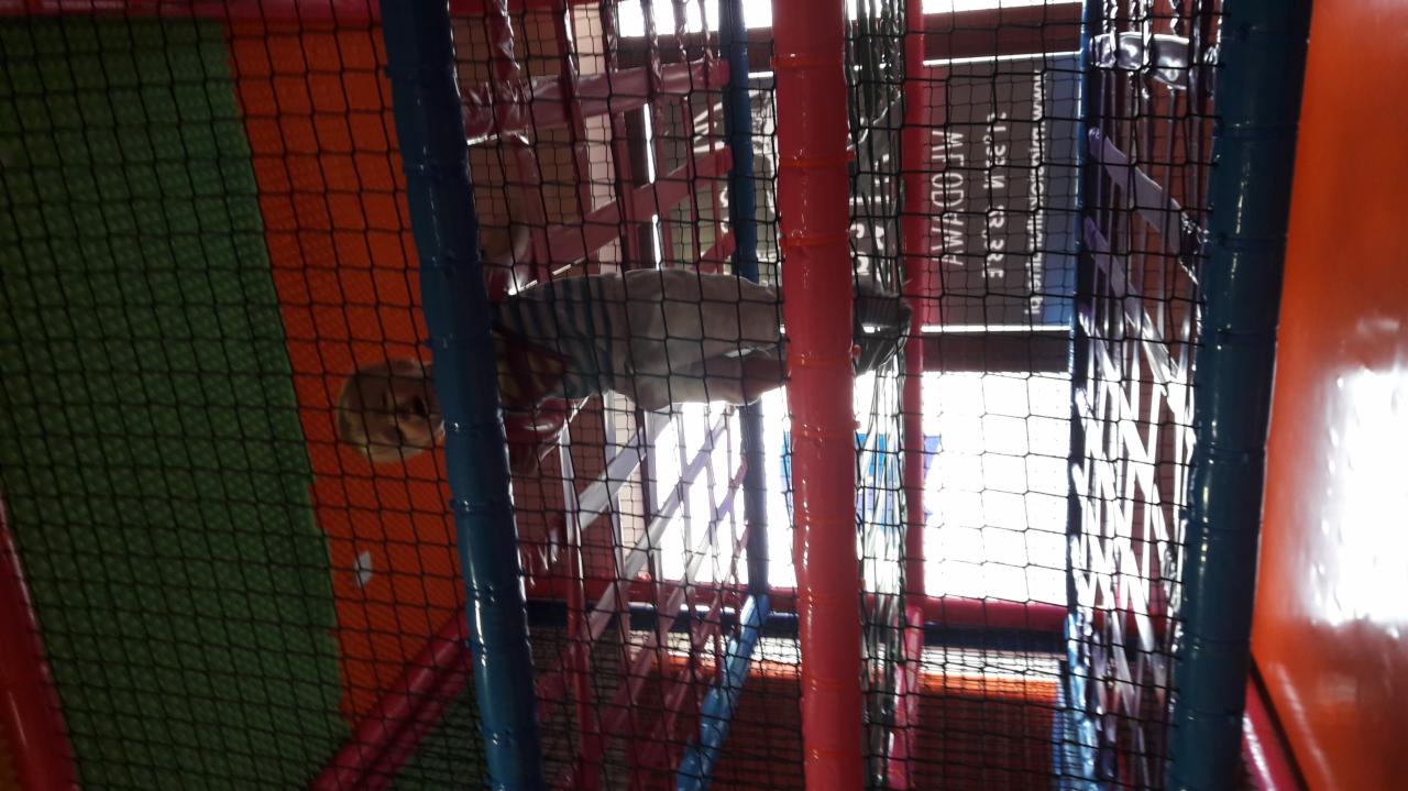 Dziecko w jasnej koszulce wewnątrz konstrukcji z siatki i kolorowych rur na placu zabaw.