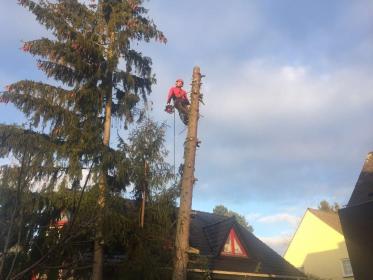Arbor - Firma transportowa Bytów