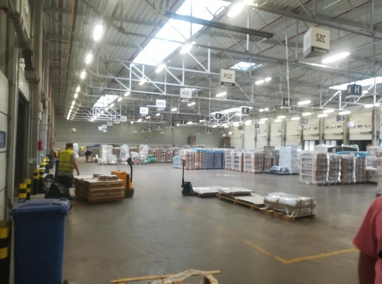 Magazyn z regałami pełnymi towarów, wózkami paletowymi i pracownikiem w kamizelce odblaskowej, oświetlony światłem dziennym przez okna dachowe.
