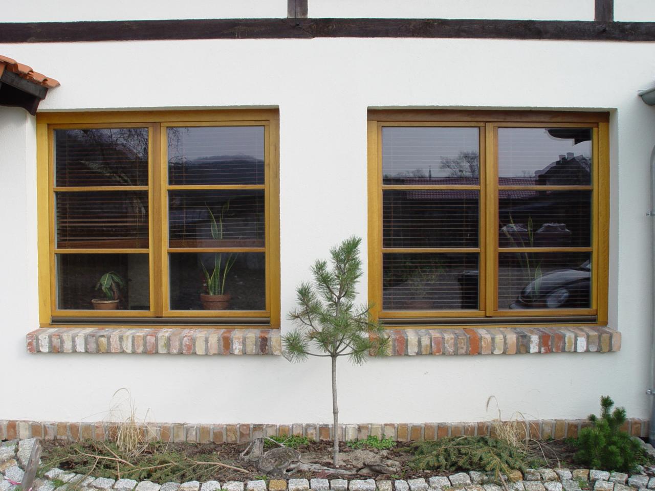 Dwa drewniane okna z poziomymi żaluzjami, ustawione w białej ścianie nad ceglanym parapetem, z młodą sosną przed nimi i roślinami doniczkowymi widocznymi wewnątrz.