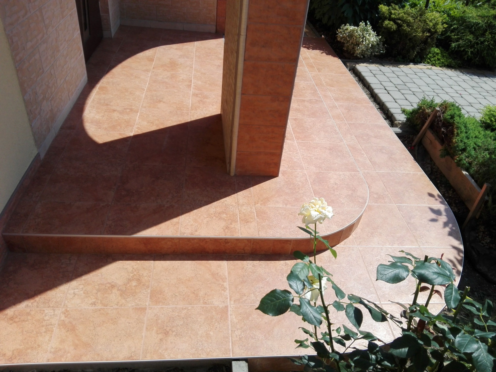 Wykończony taras z brązowych płytek ceramicznych z zaokrąglonym brzegiem, na pierwszym planie kwitnąca biała róża.