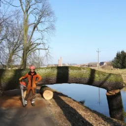 Mężczyzna w pomarańczowym kombinezonie i kasku, stojący z piłą spalinową na tle ściętego pnia drzewa, który tworzy most nad ciekiem wodnym. W tle zabudowania gospodarcze i kominy.