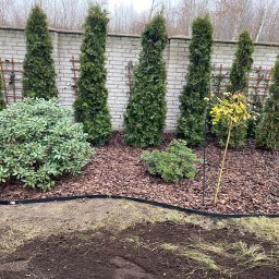 Szmaragdowy Ogr&oacute;d Piotr Chojnacki - Zakładanie trawnik&oacute;w Wołomin