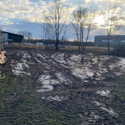 Szmaragdowy Ogr&oacute;d Piotr Chojnacki - Rośliny i podłoża Wołomin