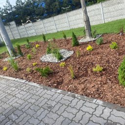 Szmaragdowy Ogród Piotr Chojnacki - Nowo założony rabat z iglakami i korą, obok chodnika z kostki, na tle betonowego ogrodzenia i zieleni. Widoczne słupy oświetleniowe.