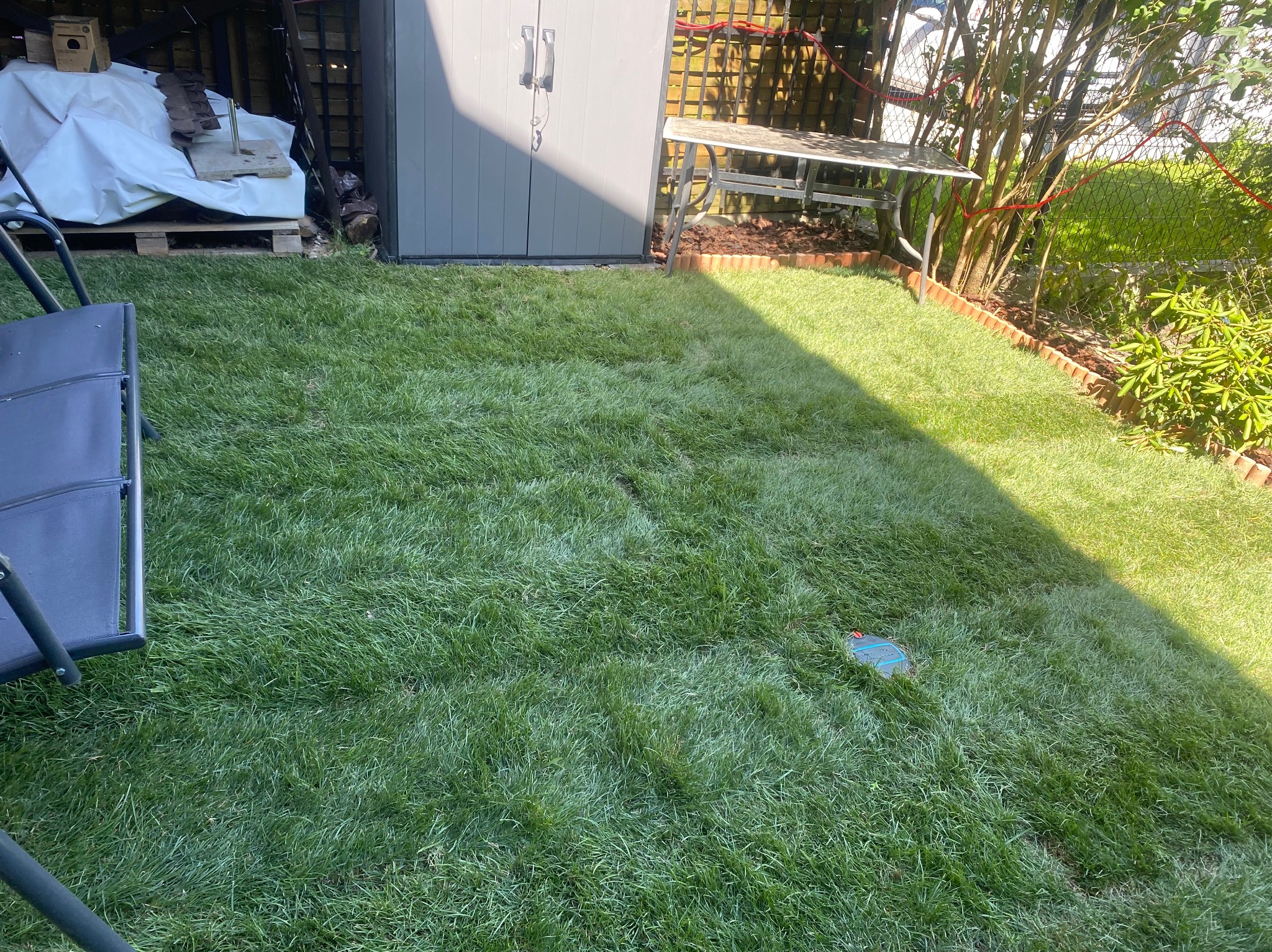 Świeżo ułożona trawa z rolki w ogrodzie, widoczny fragment krzesła ogrodowego, szopa na narzędzia i obrzeże z cegieł. Trawa gęsta, równo przycięta, z widocznym włazem do instalacji.