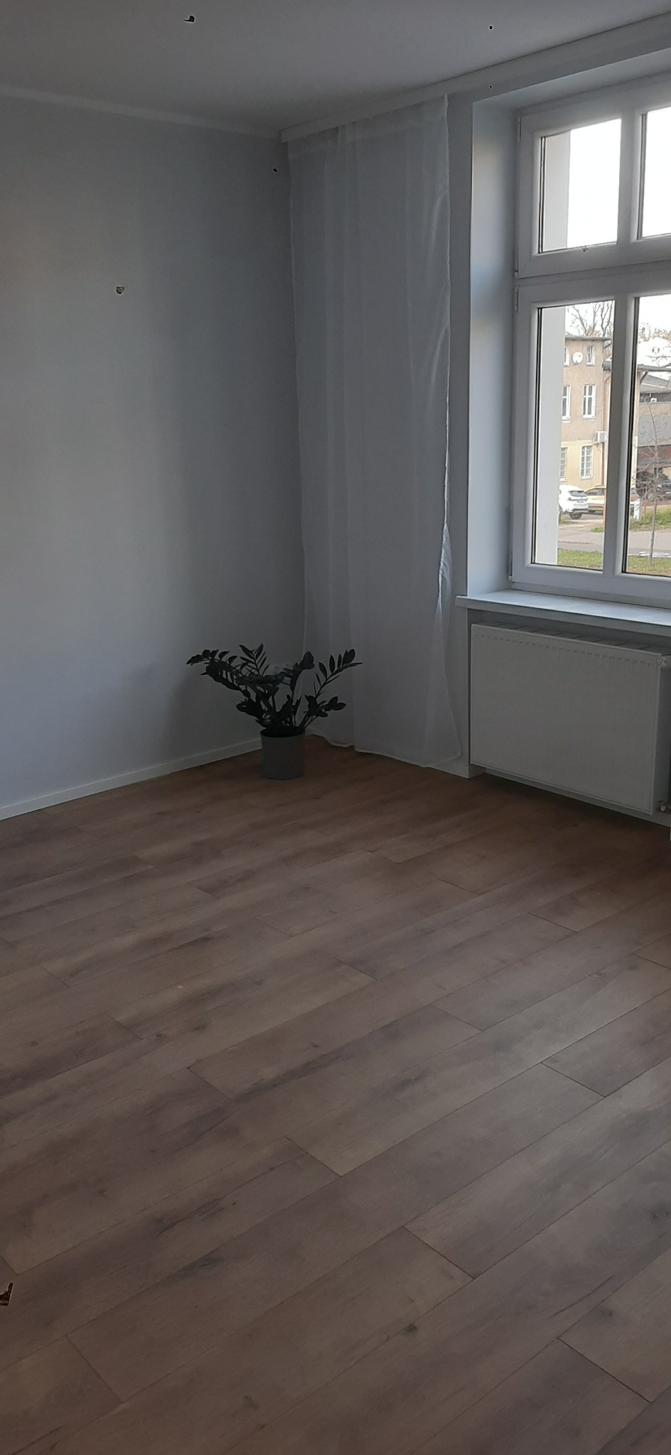 Jasne panele podłogowe w pokoju z białymi ścianami, oknem i grzejnikiem. W rogu stoi roślina doniczkowa. Minimalistyczne wnętrze po remoncie.