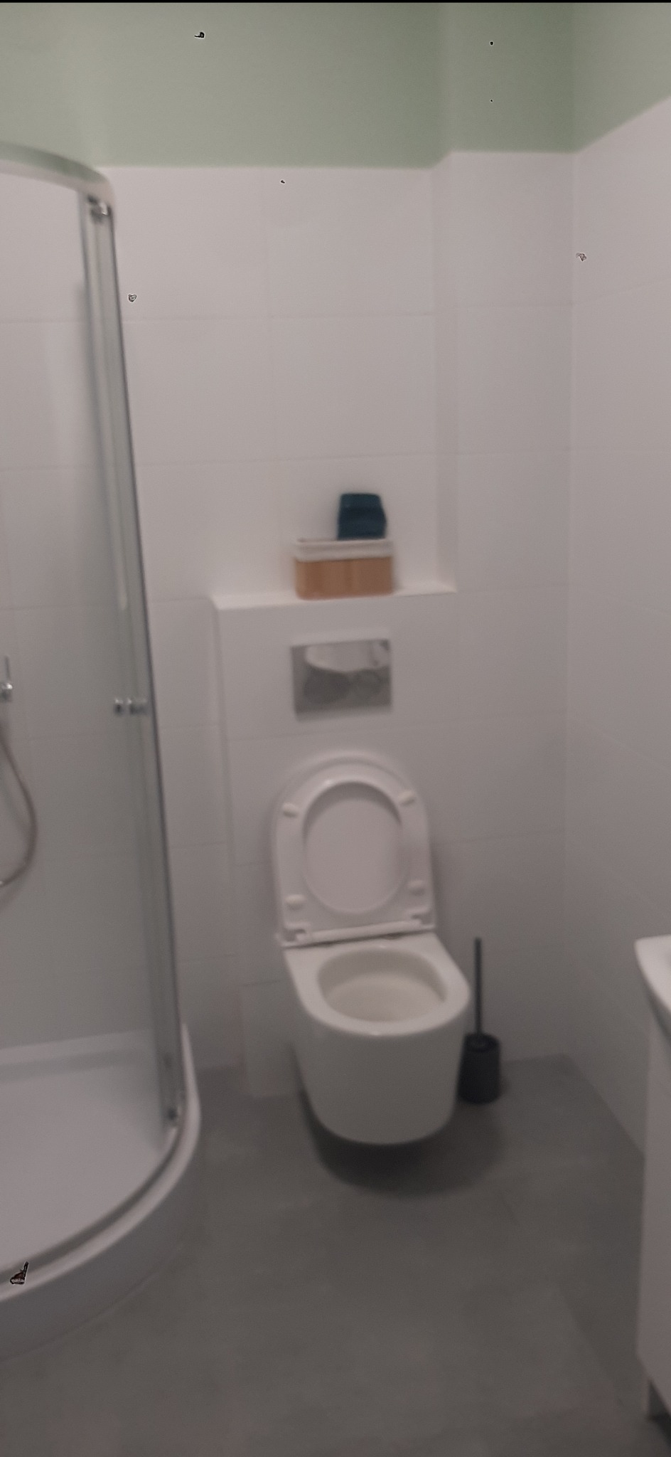 Jasna łazienka po remoncie: kabina prysznicowa z zaokrąglonymi drzwiami, toaleta z otwartą klapą, szare płytki podłogowe i białe ściany z akcentem zieleni u góry.