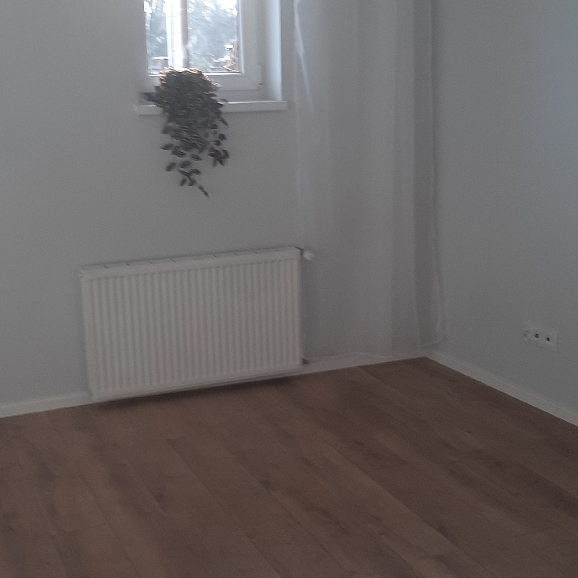 Jasne wnętrze pokoju z drewnianą podłogą, białymi ścianami, grzejnikiem i oknem z rośliną. Minimalistyczny wystrój, neutralna kolorystyka.