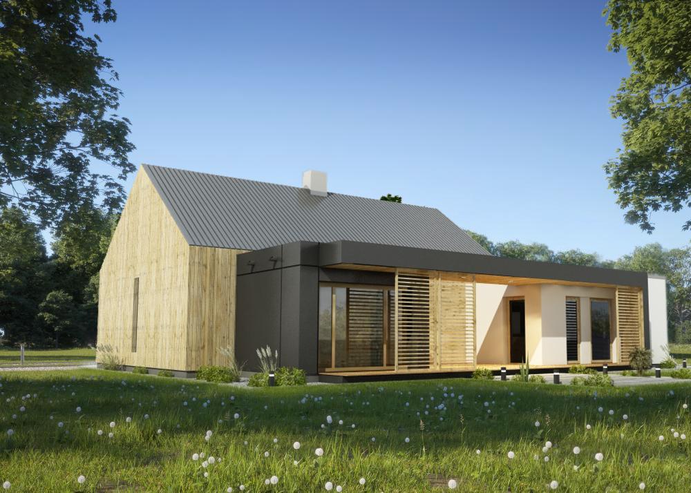 Wizualizacja nowoczesnego domu jednorodzinnego z elementami drewna i szarej blachy falistej, otoczonego zielonym trawnikiem z dmuchawcami, w słoneczny dzień.