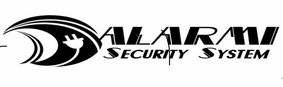 P.H.U."DALARMI"security system - Usługi Wałbrzych