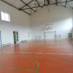 Wnętrze hali sportowej z parkietem w odcieniach pomarańczy, białymi ścianami z bramką i koszem, oraz metalową konstrukcją dachu.