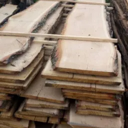 Stos desek dębowych z korą, ułożonych w pryzmę z przekładkami, obok pracujący mężczyzna w czarnej koszulce i rękawicach.