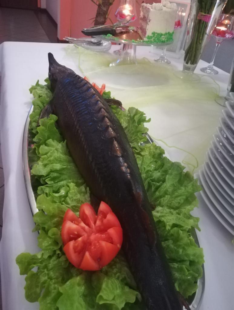 Jesiotr podany na srebrnej tacy z zieloną sałatą i pomidorem w kształcie kwiatu, w tle tort i zastawa stołowa.