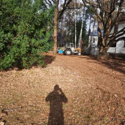 Traktor z kosiarką rotacyjną stoi na działce pokrytej liśćmi i drobnymi gałązkami, w tle drzewa i budynek mieszkalny, cień fotografa na pierwszym planie.