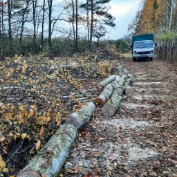 Pielęgnacja ogrodów Głosków 51