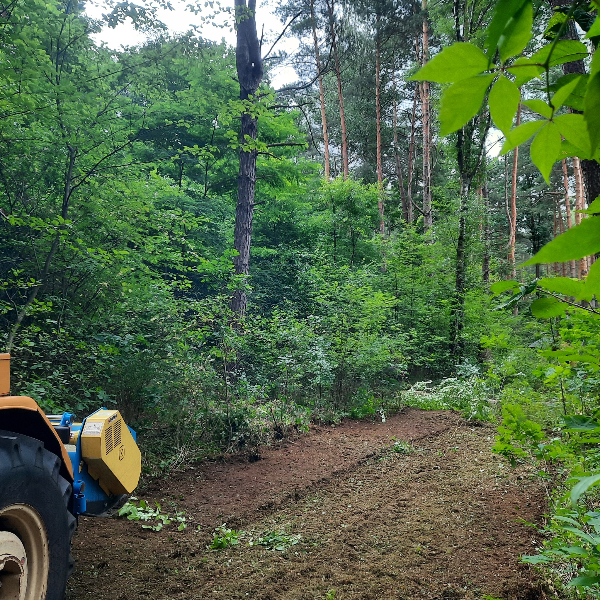Żółto-niebieski traktor z mulczerem leśnym na skraju lasu, świeżo wyczyszczony pas ziemi z widocznymi śladami opon i resztkami roślinności.
