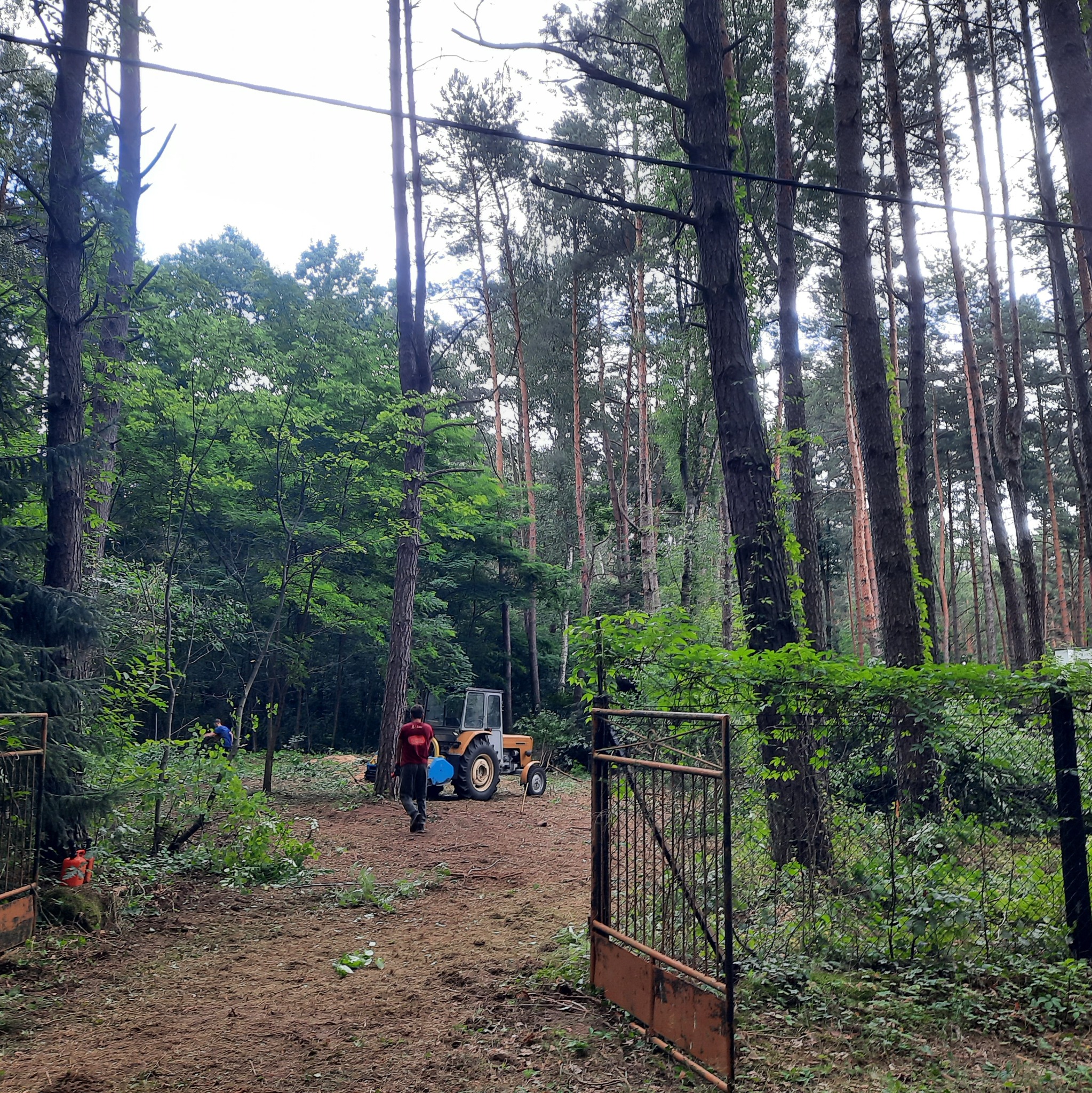 Leśna polana z żółtym traktorem, otwartą, rdzewiejącą bramą i pracownikiem z kanistrem zmierzającym w stronę grupy osób w tle, widoczne ścięte pnie drzew.