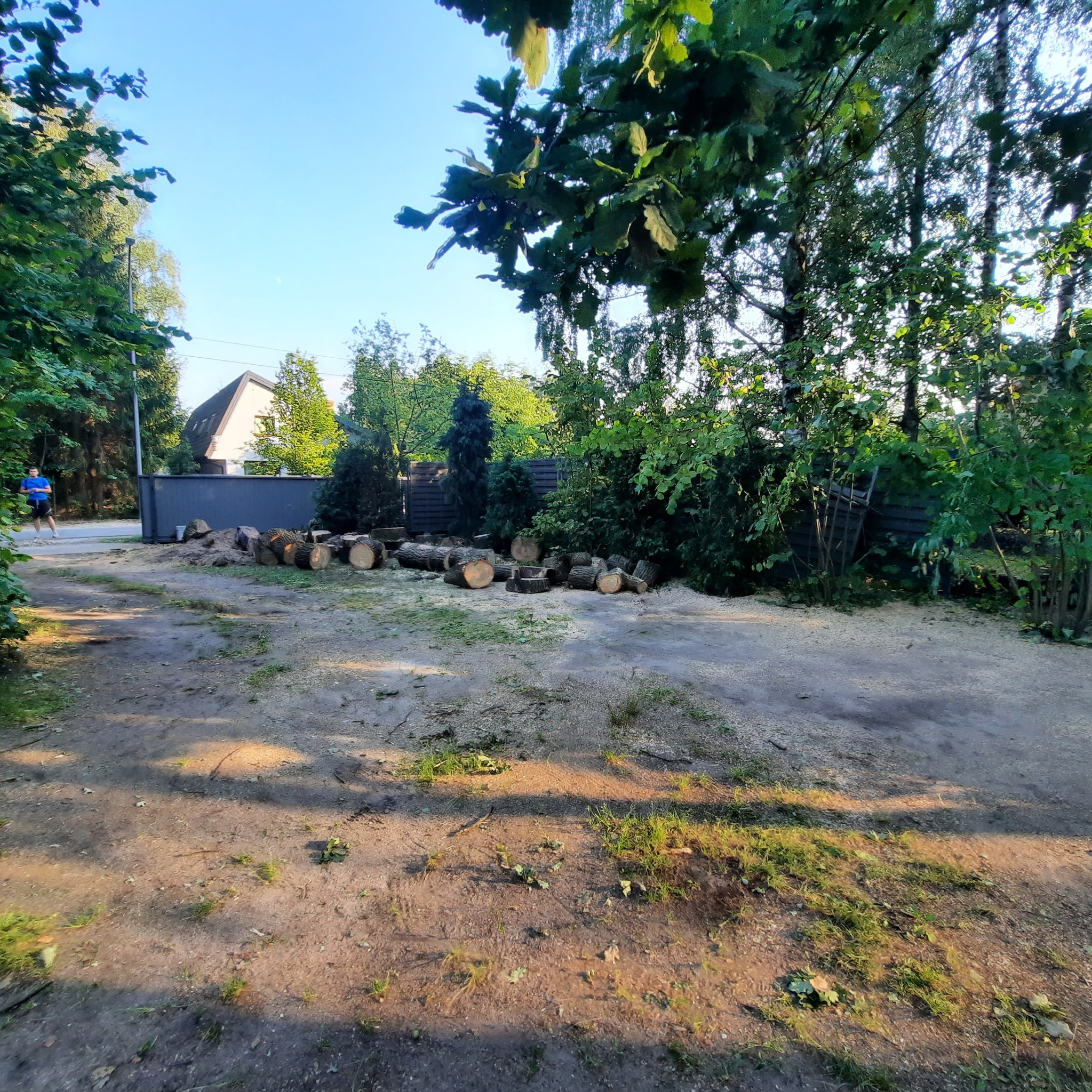 Świeżo pocięte kłody drewna ułożone na ziemi z trocinami, widoczne drzewa i fragment domu w tle, osoba przechodząca w oddali.