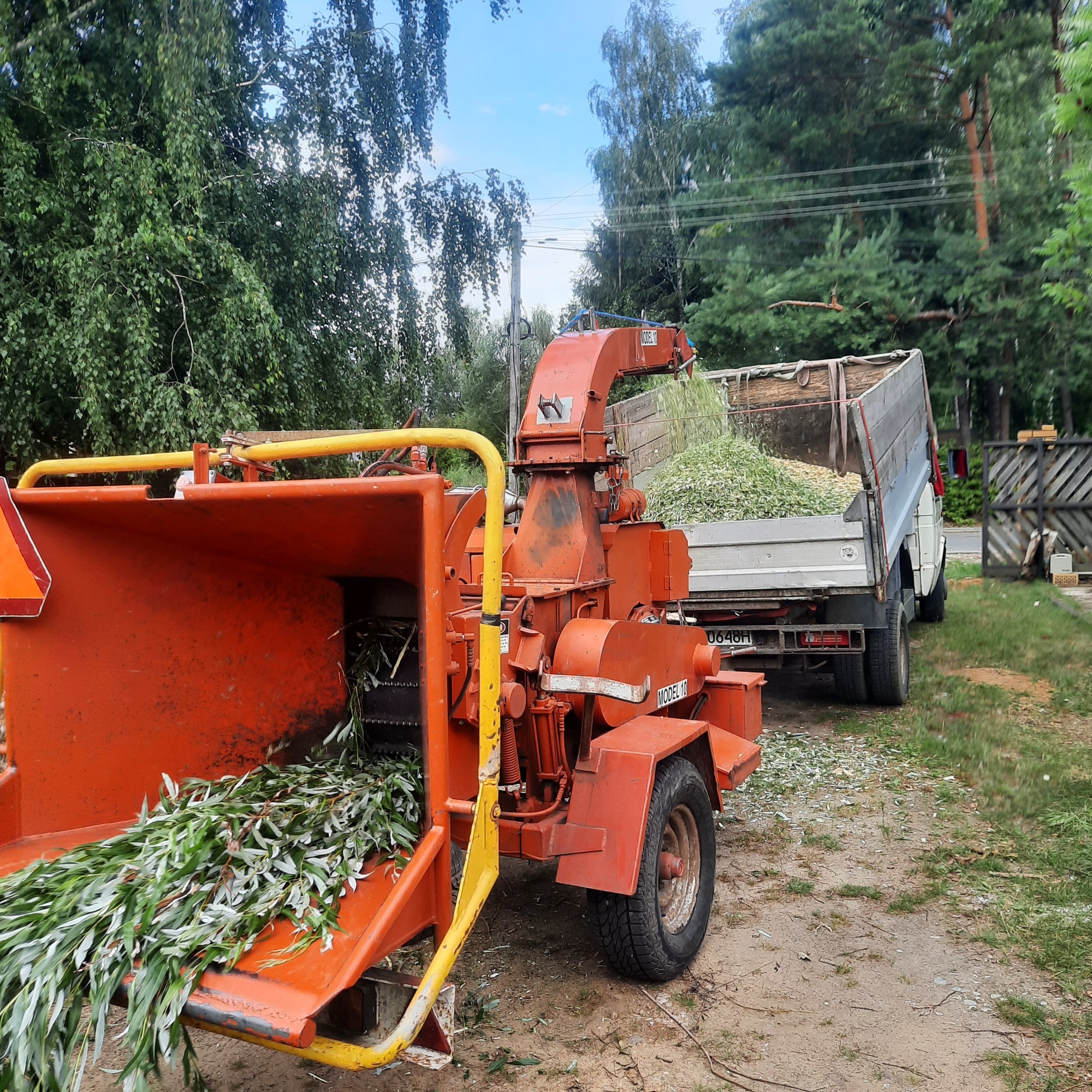 Pomarańczowa rębarka do gałęzi podłączona do skrzyni ładunkowej ciężarówki, wypełnionej zrębkami, na tle drzew