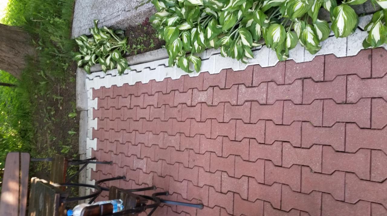 Ułożona czerwona kostka brukowa typu 'H' z białym obrzeżem i roślinami ozdobnymi hosta, widoczne fragmenty drewnianych krzeseł i butelka wody.