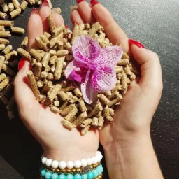 Dłonie kobiety z czerwonym manicure trzymają pellet drzewny z fioletowym kwiatem orchidei pośrodku, na nadgarstku widoczne kolorowe bransoletki z koralików.