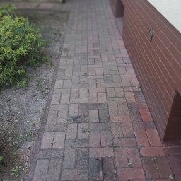 KATARZYNA KONTEK Adamex - Częściowo wyczyszczona kostka brukowa w Poznaniu, widoczne różnice w kolorze i zabrudzeniach, zarośnięta szczelina, budynek w tle.