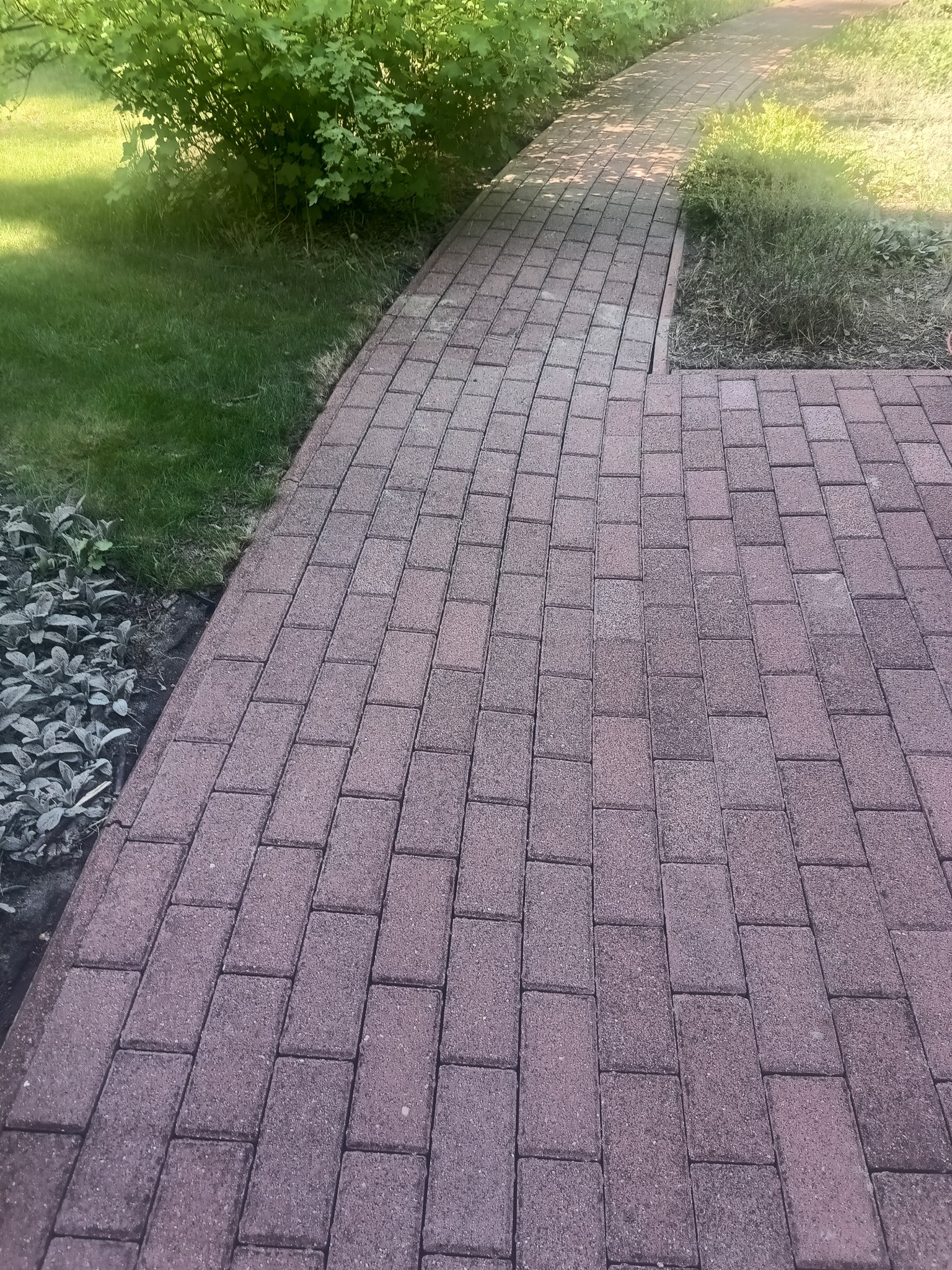 Ułożona, czerwona kostka brukowa tworzy ścieżkę ogrodową, obok której rosną krzewy i trawa. Widok z góry, z perspektywy osoby stojącej na ścieżce.