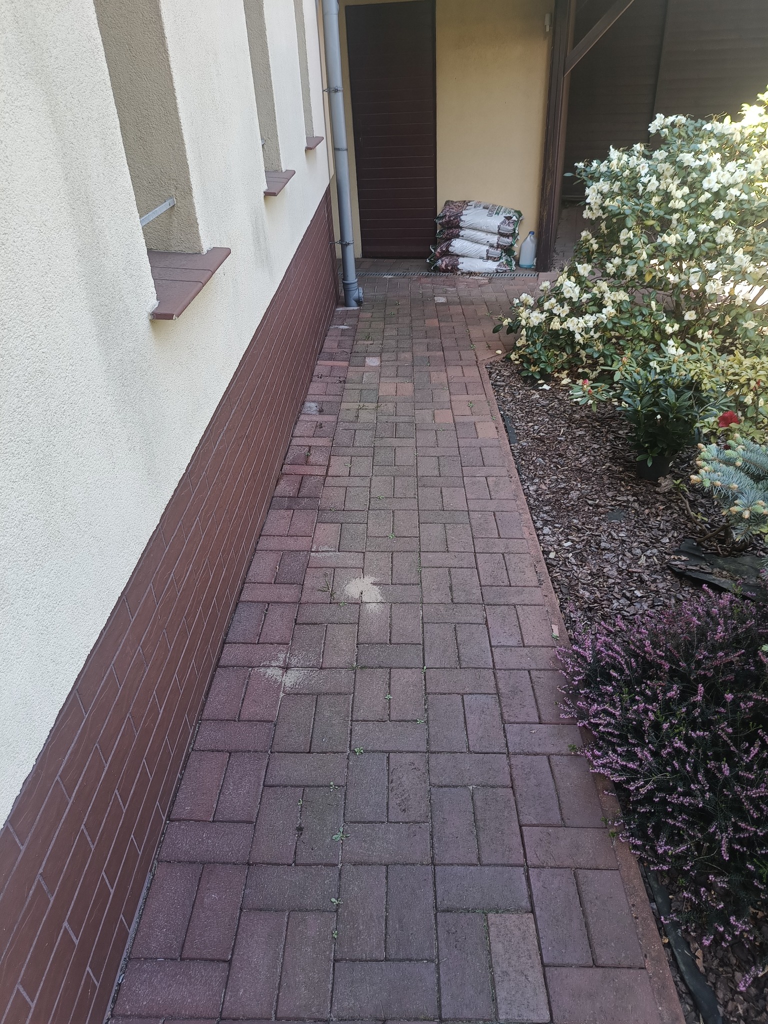 Ciemnoczerwona kostka brukowa tworzy ścieżkę obok budynku z beżową elewacją i brązową podmurówką. Obok ścieżki widoczne rośliny i worki z ziemią.