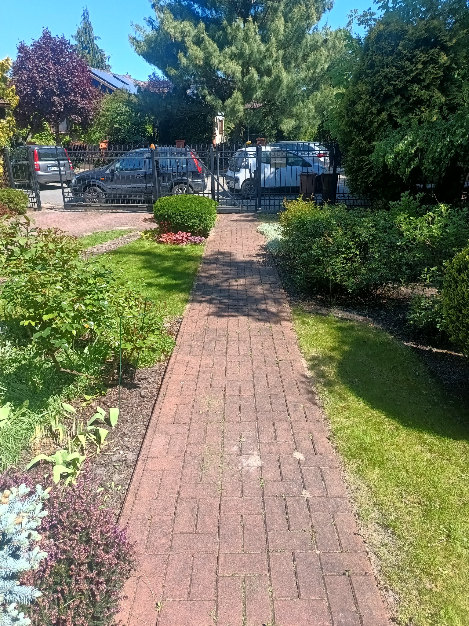 Ceglana ścieżka prowadzi przez zadbany ogród z krzewami i kwiatami, zakończona bramą z widokiem na zaparkowane samochody w słoneczny dzień.