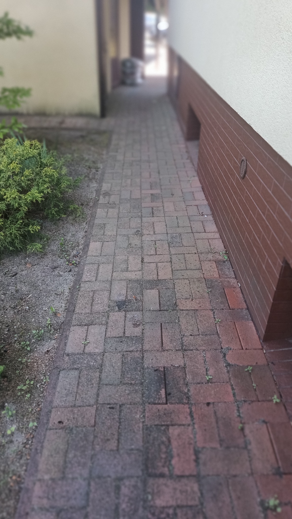 Częściowo wyczyszczona kostka brukowa w Poznaniu, widoczne różnice w kolorze i zabrudzeniach, zarośnięta szczelina, budynek w tle.