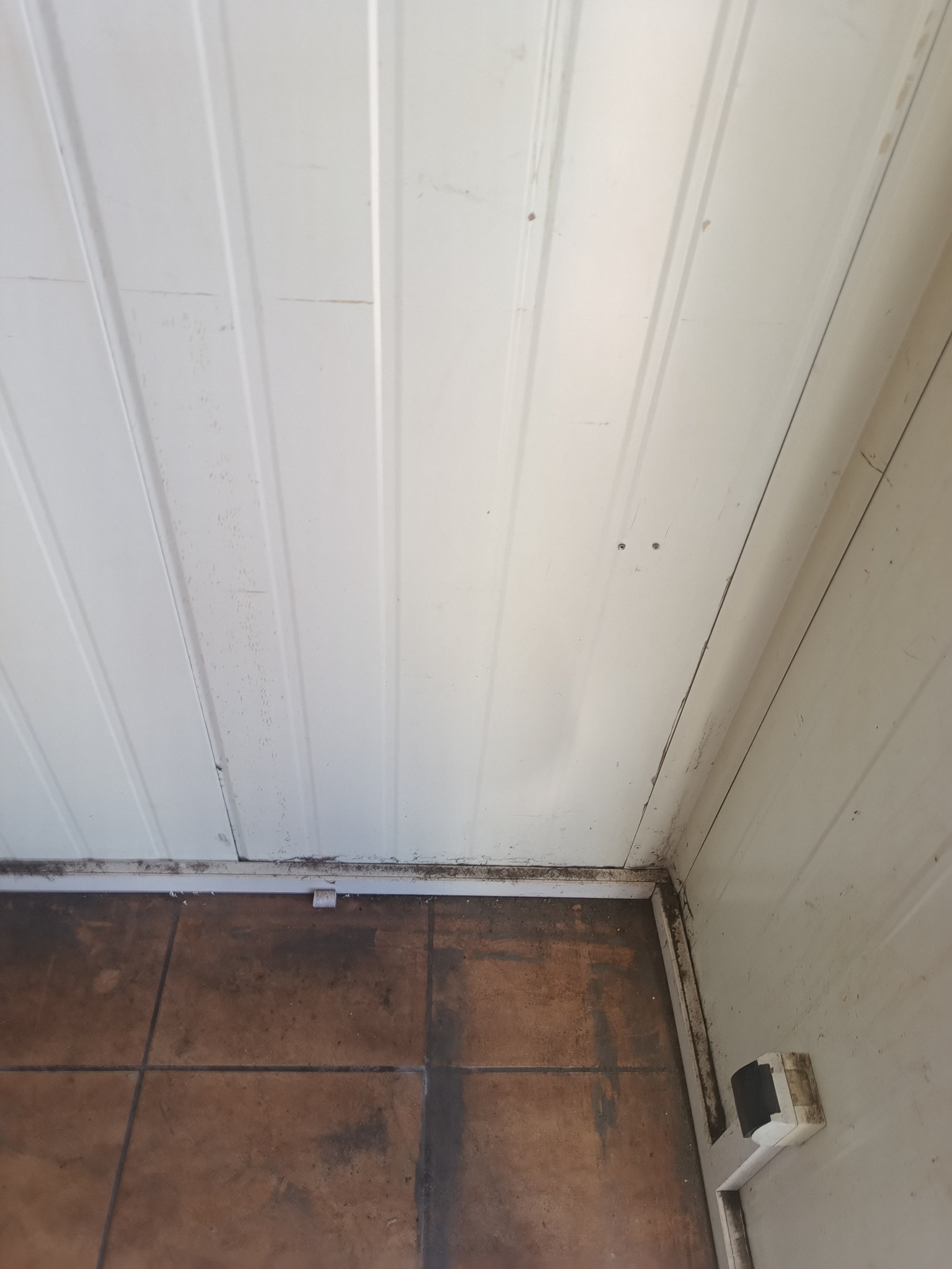 Brudna podłoga z brązowych płytek w rogu pomieszczenia z białymi panelami ściennymi, widoczne ślady pleśni i niedoczyszczone fugi. Narożnik z widocznym gniazdkiem.
