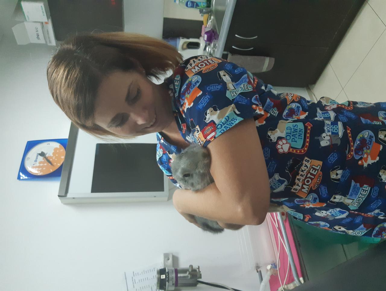 Kobieta w koszuli z motywem zwierzęcym trzyma szynszylę na rękach w gabinecie z zegarem na ścianie i sprzętem medycznym w tle.