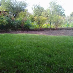 Fragment ogrodu z intensywnie zielonym trawnikiem na pierwszym planie, w tle widoczne krzewy i drzewa, a także fragment ogrodzenia.