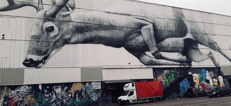 Biała furgonetka z czerwoną plandeką zaparkowana przed budynkiem z muralem przedstawiającym biegnącego jelenia, dodatkowo budynek pokryty jest graffiti