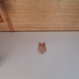 Wood is Life Tomasz Pykało - Zadaszenia, wiaty i pergole Siemiatycze